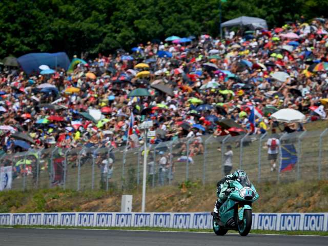 Alex Escrig Official